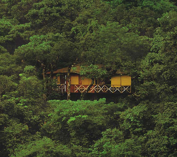 Aydin-Tours-and-Travels-vythiri-resort